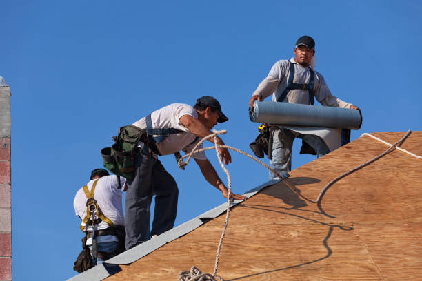 Best Commercial Roofing Services  in Oglethorpe, GA